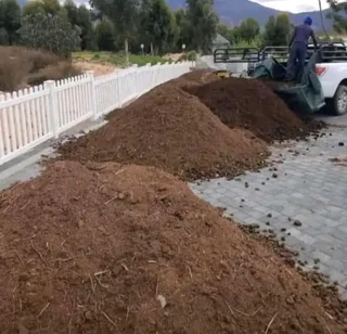 Roll on lawn Kikuyu grass