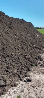 Roll on lawn Cynadone grass