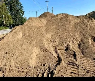 Roll on lawn Cynadone grass