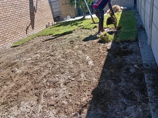 Supply and installa  national Lm Berea grass