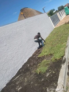 Supply and installa  national Lm Berea grass