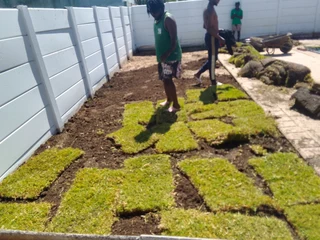 We do sell call type of Kikuyu grass.  &amp;  garden soil