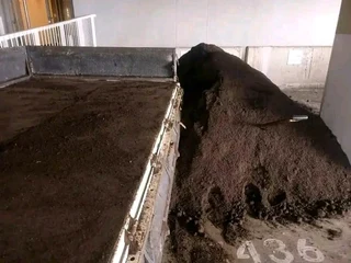 Roll on lawn fresh and green grass