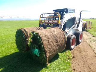 Roll on lawn fresh and green grass