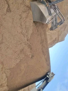 Delivery and installa buffalo grass