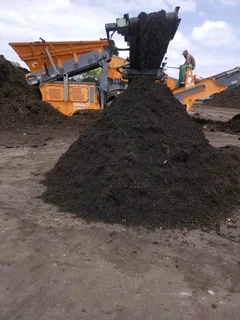 Delivery and installa buffalo grass