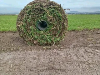 We do supply and installation off buffalo grass