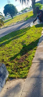 We do supply and installation off buffalo grass