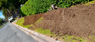 We do supply and installation off buffalo grass