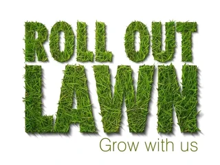 Roll on lawn Lm Berea grass and buffalo grass