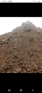 Roll on lawn Lm Berea grass and buffalo grass