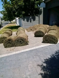 We do call type of  gradn stone &amp;  roll on lawn national grass