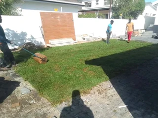 Roll on lawn Lm Berea grass