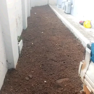 We do call type of roll on lawn  Kikuyu grass