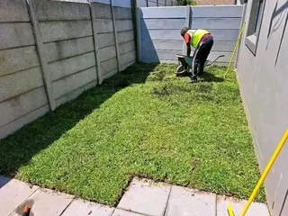 We do supply and installa buffalo grass