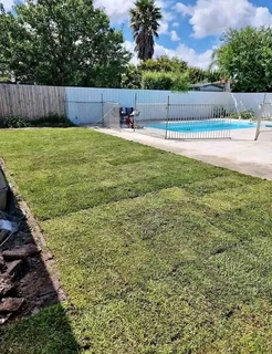 quality of roll on lawn Lm Berea grass and top soil weed free