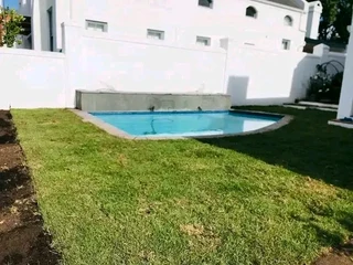 Green and fresh national grass