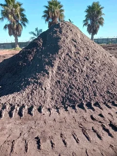 Green and fresh national grass