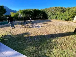 Green and fresh national grass