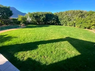 Green and fresh national grass