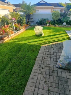 Roll on lawn Kikuyu grass