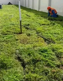 Roll on lawn Kikuyu grass