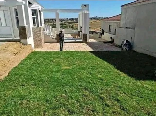 Supply and installa buffalo grass