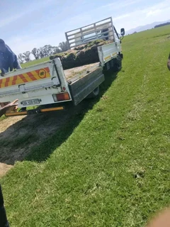 Supply and installa buffalo grass