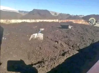 Supply and installa buffalo grass