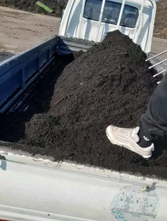 Supply and installa buffalo grass