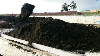 lawn Kikuyu grass and  call type of gradn stone