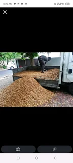 lawn Kikuyu grass and  call type of gradn stone