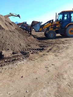 We do call type of roll on lawn grass. more information contact me