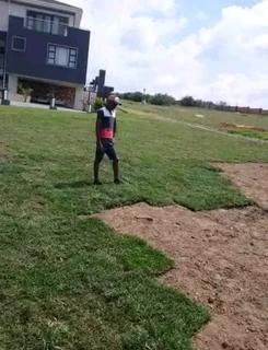 Delivery and installa off Kikuyu grass and Lm Berea grass