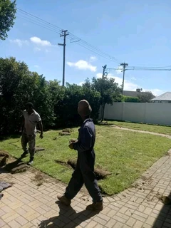 Delivery and installa off Kikuyu grass and Lm Berea grass