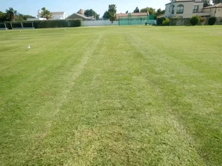 Roll on lawn Kikuyu grass