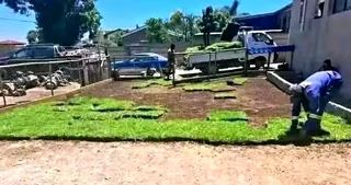 Delivery and installa buffalo grass and Kikuyu grass