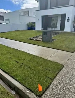 Delivery and installa buffalo grass and Kikuyu grass