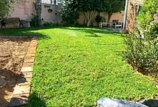 Delivery and installa buffalo grass and Kikuyu grass