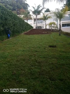 installa and delivery  call type of roll on lawn buffalo grass or Kikuyu grass