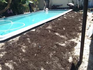 we do supply and installa off Cynadone grass. //Kikuyu grass and buffalo grass