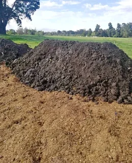 PROFESSIONALS WITH IMMENSE EXPERIENCE IN INSTALLATION &amp; LAYING NATIONAL GRASS