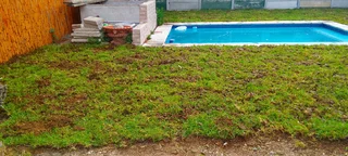 Delivery and installa buffalo grass