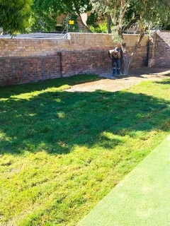 Roll on lawn Lm Berea grass