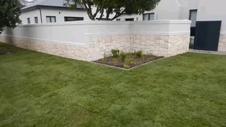 Roll on lawn Lm Berea grass