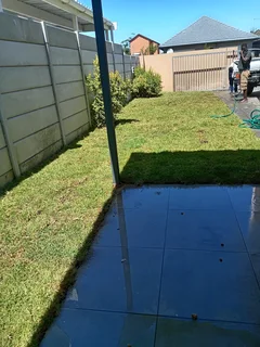 Roll on lawn Kikuyu grass