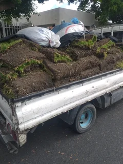 We do supply and installa buffalo grass