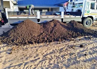 We do supply and installa buffalo grass