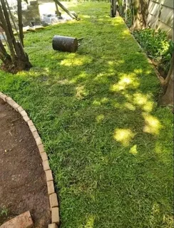 We do supply and installa buffalo grass