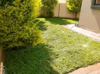 We do supply and installa buffalo grass